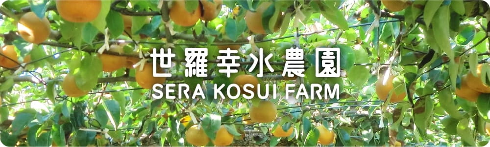 世羅幸水農園